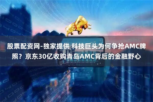 股票配资网-独家提供 科技巨头为何争抢AMC牌照？京东30亿收购青岛AMC背后的金融野心