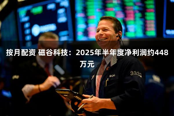 按月配资 磁谷科技：2025年半年度净利润约448万元