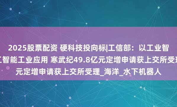 2025股票配资 硬科技投向标|工信部：以工业智能体为抓手深化人工智能工业应用 寒武纪49.8亿元定增申请获上交所受理_海洋_水下机器人