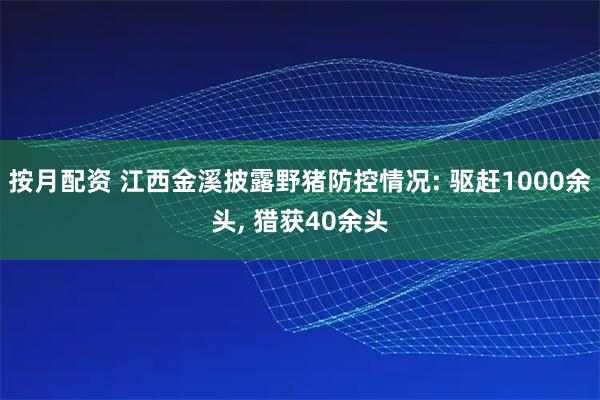 按月配资 江西金溪披露野猪防控情况: 驱赶1000余头, 猎获40余头