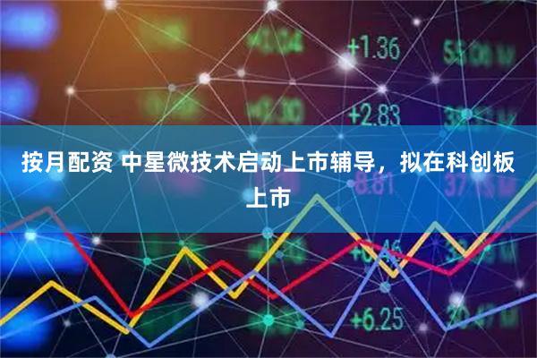 按月配资 中星微技术启动上市辅导，拟在科创板上市